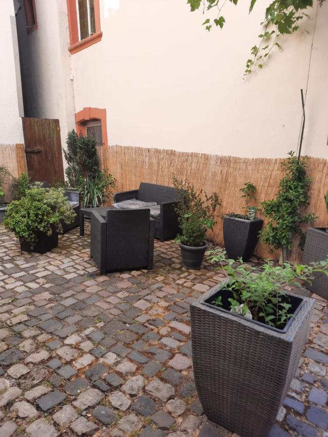 베른카슈텔쿠에스 Kleine Altstadt Oase 아파트 외부 사진