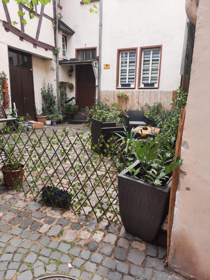 베른카슈텔쿠에스 Kleine Altstadt Oase 아파트 외부 사진