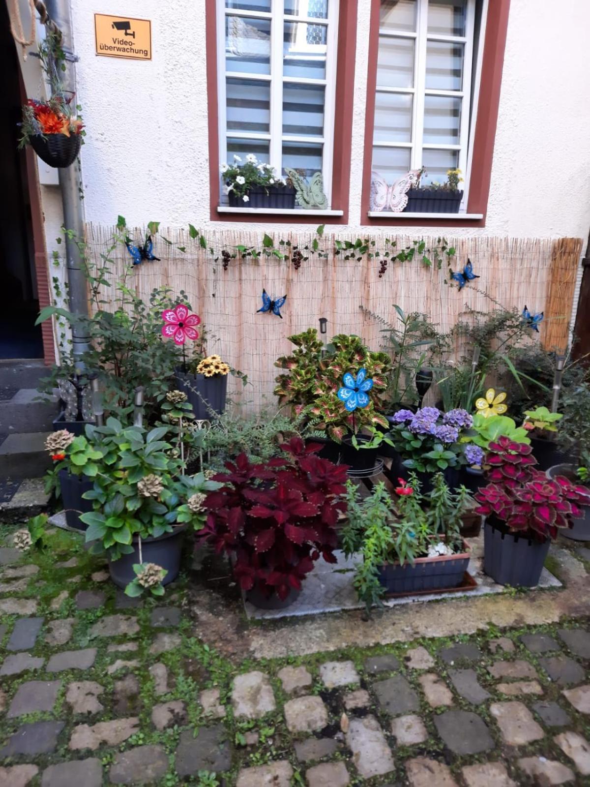 베른카슈텔쿠에스 Kleine Altstadt Oase 아파트 외부 사진